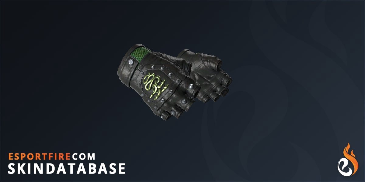 Browse and buy all CS2 Hydra Glove Skins
